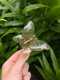 Butterfly Clip