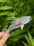 Whaleshark Clip Grey