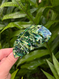Monstera Clip