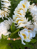 KAUA'I - Full Plumeria