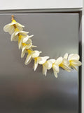 KAUA'I - Full Plumeria