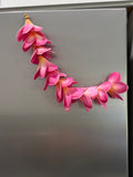 KAUA'I - Full Plumeria