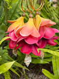 EKOLU - Plumeria and Shell