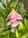 EKOLU - Plumeria and Shell
